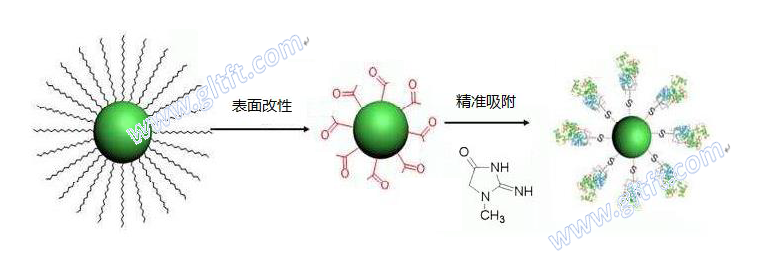 fig5-精準(zhǔn)吸附機理